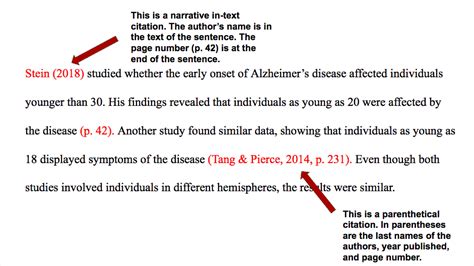 son of citation machine apa 7